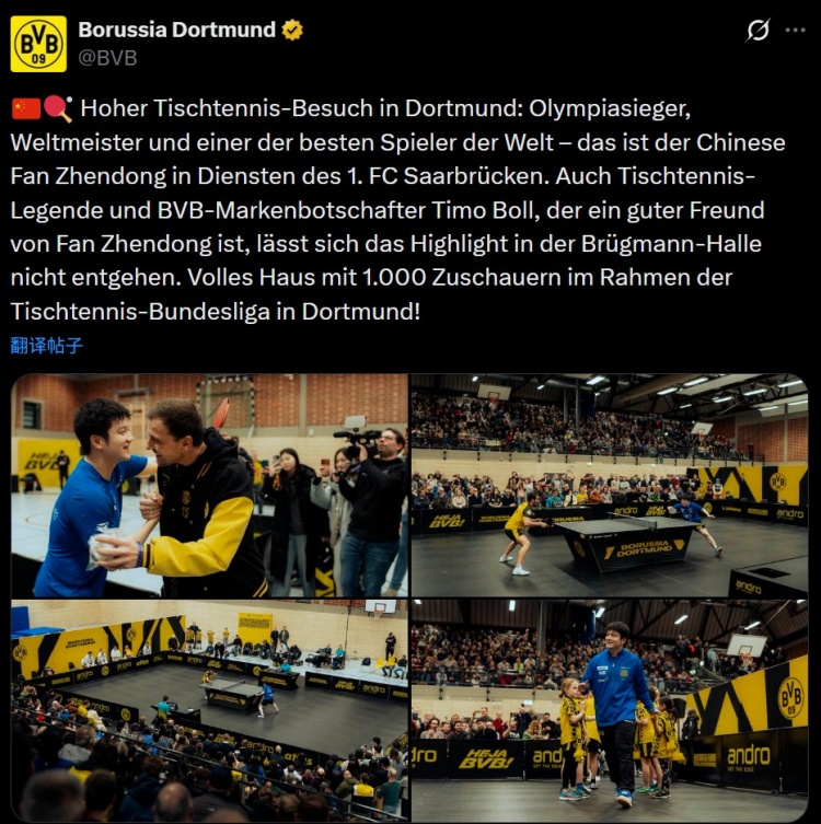 开云-樊振东随队客战多特吸引上千球迷观战，多特死忠波尔也来到现场