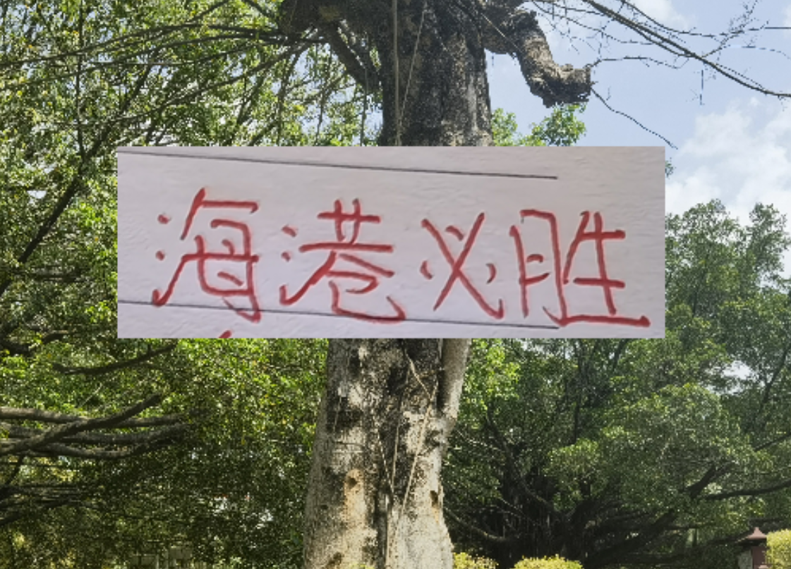 开云体育下载-前有奇塔 现有奥斯卡 海港旧将也喜欢度假途径母队